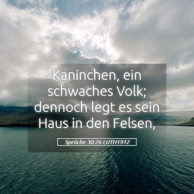 Picture 05 - Sprüche 30:26 LUTH1912 - Kaninchen, ein schwaches Volk; dennoch legt es - Bible Verse Picture