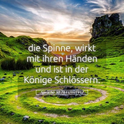 Picture 05 - Sprüche 30:28 LUTH1912 - die Spinne, wirkt mit ihren Händen und ist in - Bible Verse Picture