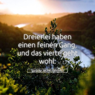 Picture 05 - Sprüche 30:29 LUTH1912 - Dreierlei haben einen feinen Gang, und das vierte - Bible Verse Picture