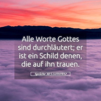 Picture 05 - Sprüche 30:5 LUTH1912 - Alle Worte Gottes sind durchläutert; er ist ein - Bible Verse Picture