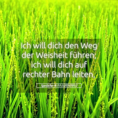 Picture 05 - Sprüche 4:11 LUTH1912 - Ich will dich den Weg der Weisheit führen; ich - Bible Verse Picture