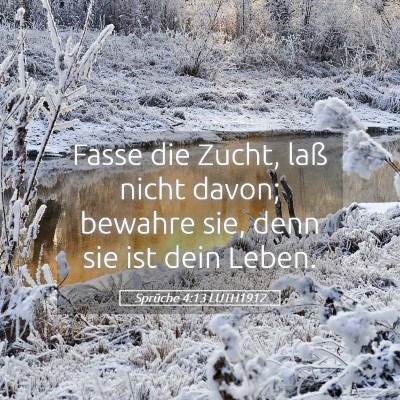 Picture 05 - Sprüche 4:13 LUTH1912 - Fasse die Zucht, laß nicht davon; bewahre sie, - Bible Verse Picture