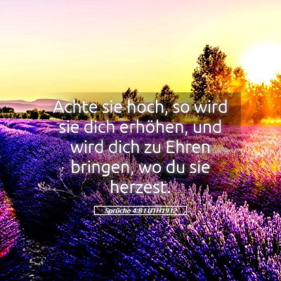 Picture 05 - Sprüche 4:8 LUTH1912 - Achte sie hoch, so wird sie dich erhöhen, und - Bible Verse Picture