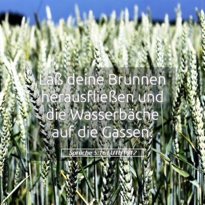 Picture 05 - Sprüche 5:16 LUTH1912 - Laß deine Brunnen herausfließen und die - Bible Verse Picture