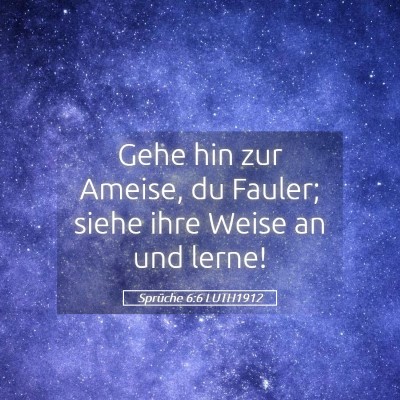Picture 05 - Sprüche 6:6 LUTH1912 - Gehe hin zur Ameise, du Fauler; siehe ihre Weise - Bible Verse Picture