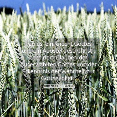 Picture 05 - Titus 1:1 LUTH1912 - Paulus, ein Knecht Gottes und ein Apostel Jesu - Bible Verse Picture
