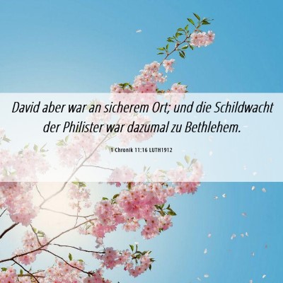Picture 06 - 1 Chronik 11:16 LUTH1912 - David aber war an sicherem Ort; und die - Bible Verse Picture