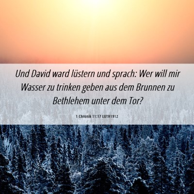 Picture 06 - 1 Chronik 11:17 LUTH1912 - Und David ward lüstern und sprach: Wer will mir - Bible Verse Picture