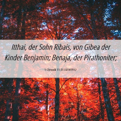 Picture 06 - 1 Chronik 11:31 LUTH1912 - Itthai, der Sohn Ribais, von Gibea der Kinder - Bible Verse Picture