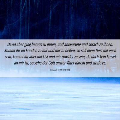 Picture 06 - 1 Chronik 12:17 LUTH1912 - David aber ging heraus zu ihnen, und antwortete - Bible Verse Picture