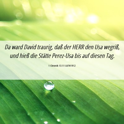 Picture 06 - 1 Chronik 13:11 LUTH1912 - Da ward David traurig, daß der HERR den Usa - Bible Verse Picture