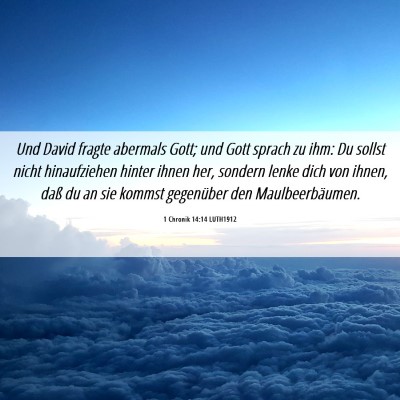 Picture 06 - 1 Chronik 14:14 LUTH1912 - Und David fragte abermals Gott; und Gott sprach - Bible Verse Picture