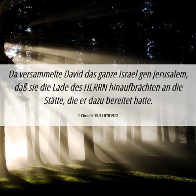 Picture 06 - 1 Chronik 15:3 LUTH1912 - Da versammelte David das ganze Israel gen - Bible Verse Picture