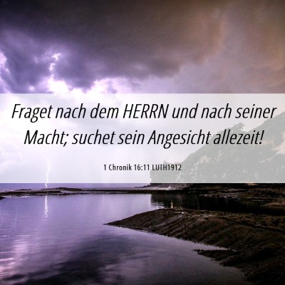 Picture 06 - 1 Chronik 16:11 LUTH1912 - Fraget nach dem HERRN und nach seiner Macht; - Bible Verse Picture