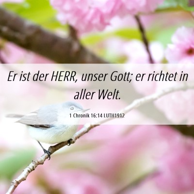 Picture 06 - 1 Chronik 16:14 LUTH1912 - Er ist der HERR, unser Gott; er richtet in aller - Bible Verse Picture