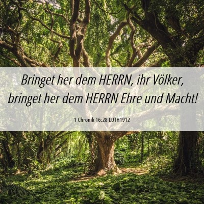Picture 06 - 1 Chronik 16:28 LUTH1912 - Bringet her dem HERRN, ihr Völker, bringet her - Bible Verse Picture