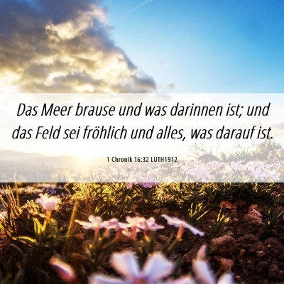 Picture 06 - 1 Chronik 16:32 LUTH1912 - Das Meer brause und was darinnen ist; und das - Bible Verse Picture