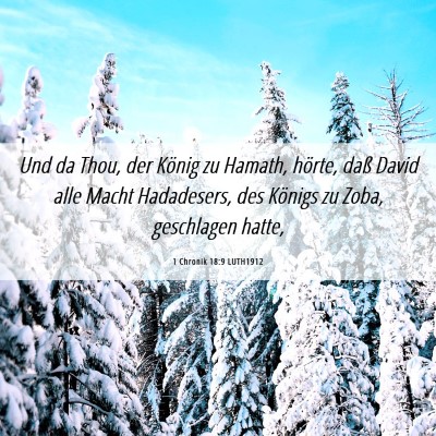 Picture 06 - 1 Chronik 18:9 LUTH1912 - Und da Thou, der König zu Hamath, hörte, daß - Bible Verse Picture