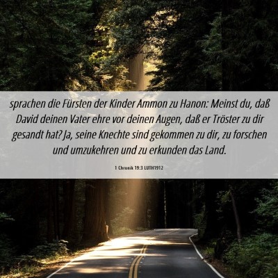 Picture 06 - 1 Chronik 19:3 LUTH1912 - sprachen die Fürsten der Kinder Ammon zu Hanon: - Bible Verse Picture