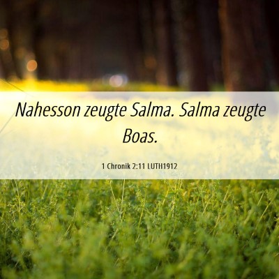 Picture 06 - 1 Chronik 2:11 LUTH1912 - Nahesson zeugte Salma. Salma zeugte - Bible Verse Picture