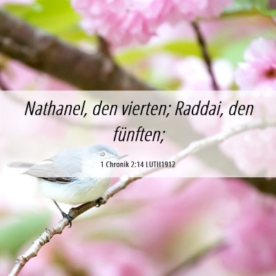 Picture 06 - 1 Chronik 2:14 LUTH1912 - Nathanel, den vierten; Raddai, den - Bible Verse Picture