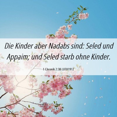 Picture 06 - 1 Chronik 2:30 LUTH1912 - Die Kinder aber Nadabs sind: Seled und Appaim; - Bible Verse Picture