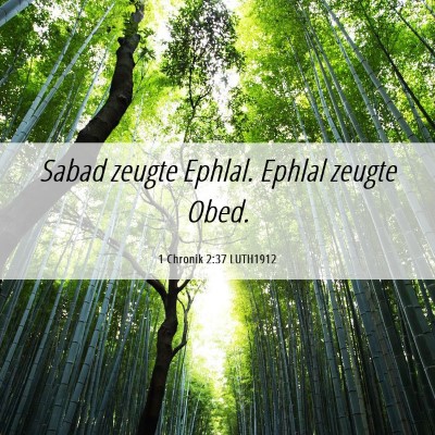 Picture 06 - 1 Chronik 2:37 LUTH1912 - Sabad zeugte Ephlal. Ephlal zeugte - Bible Verse Picture