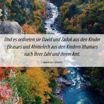 Picture 06 - 1 Chronik 24:3 LUTH1912 - Und es ordneten sie David und Zadok aus den - Bible Verse Picture
