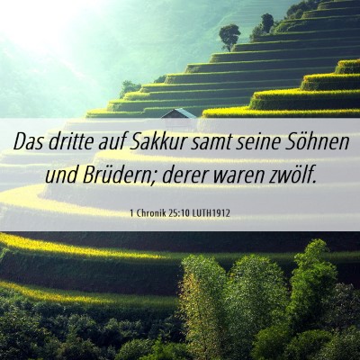 Picture 06 - 1 Chronik 25:10 LUTH1912 - Das dritte auf Sakkur samt seine Söhnen und - Bible Verse Picture