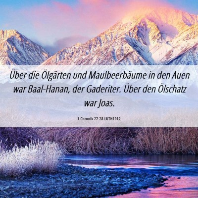 Picture 06 - 1 Chronik 27:28 LUTH1912 - Über die Ölgärten und Maulbeerbäume in den - Bible Verse Picture