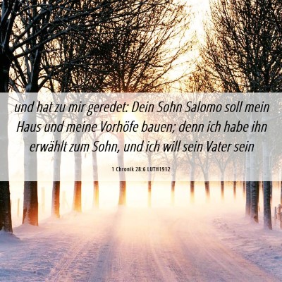 Picture 06 - 1 Chronik 28:6 LUTH1912 - und hat zu mir geredet: Dein Sohn Salomo soll - Bible Verse Picture
