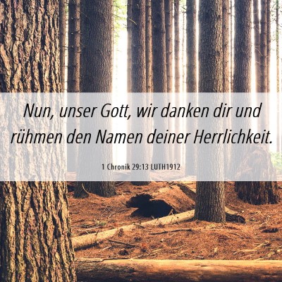 Picture 06 - 1 Chronik 29:13 LUTH1912 - Nun, unser Gott, wir danken dir und rühmen den - Bible Verse Picture