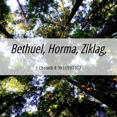 Picture 06 - 1 Chronik 4:30 LUTH1912 - Bethuel, Horma, - Bible Verse Picture