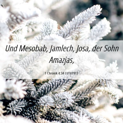 Picture 06 - 1 Chronik 4:34 LUTH1912 - Und Mesobab, Jamlech, Josa, der Sohn - Bible Verse Picture