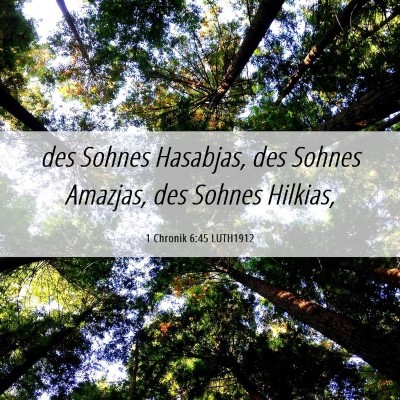 Picture 06 - 1 Chronik 6:45 LUTH1912 - des Sohnes Hasabjas, des Sohnes Amazjas, des - Bible Verse Picture