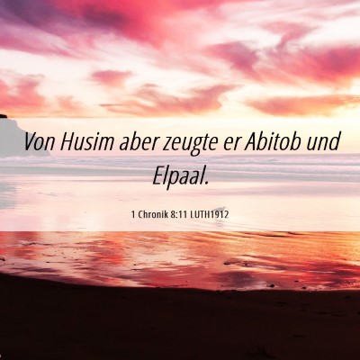 Picture 06 - 1 Chronik 8:11 LUTH1912 - Von Husim aber zeugte er Abitob und - Bible Verse Picture