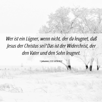 Picture 06 - 1 Johannes 2:22 LUTH1912 - Wer ist ein Lügner, wenn nicht, der da leugnet, - Bible Verse Picture