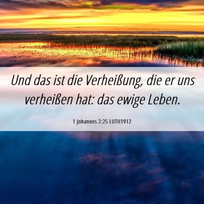 Picture 06 - 1 Johannes 2:25 LUTH1912 - Und das ist die Verheißung, die er uns - Bible Verse Picture