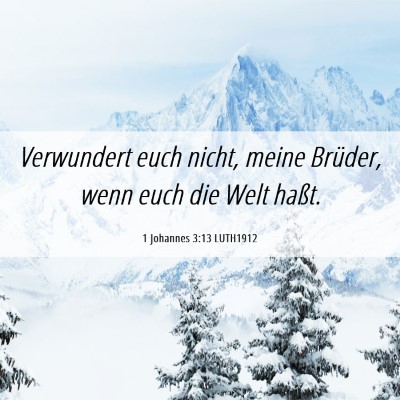 Picture 06 - 1 Johannes 3:13 LUTH1912 - Verwundert euch nicht, meine Brüder, wenn euch - Bible Verse Picture