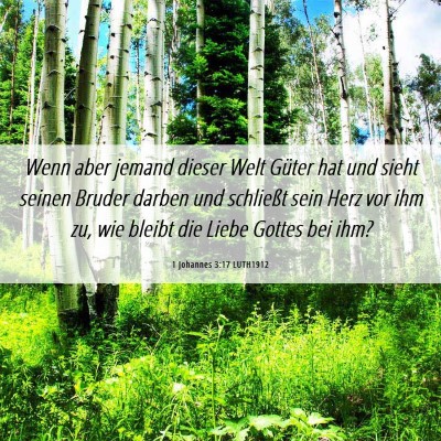 Picture 06 - 1 Johannes 3:17 LUTH1912 - Wenn aber jemand dieser Welt Güter hat und sieht - Bible Verse Picture
