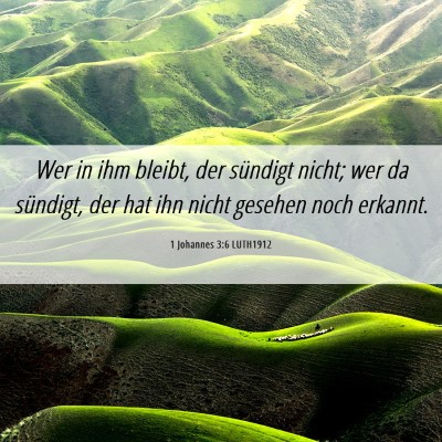 Picture 06 - 1 Johannes 3:6 LUTH1912 - Wer in ihm bleibt, der sündigt nicht; wer da - Bible Verse Picture