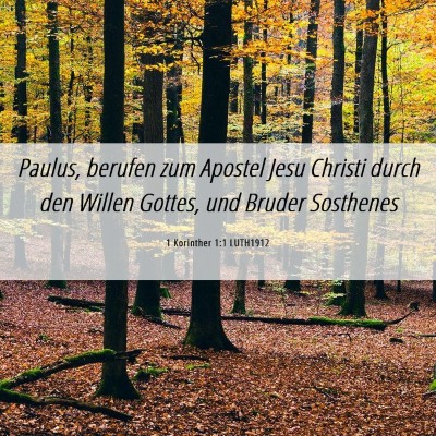 Picture 06 - 1 Korinther 1:1 LUTH1912 - Paulus, berufen zum Apostel Jesu Christi durch - Bible Verse Picture