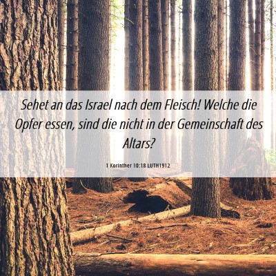 Picture 06 - 1 Korinther 10:18 LUTH1912 - Sehet an das Israel nach dem Fleisch! Welche die - Bible Verse Picture