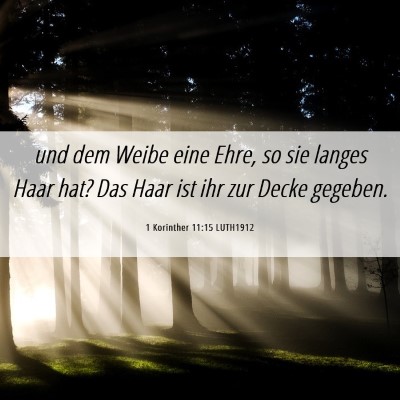 Picture 06 - 1 Korinther 11:15 LUTH1912 - und dem Weibe eine Ehre, so sie langes Haar hat? - Bible Verse Picture