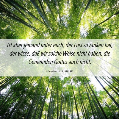 Picture 06 - 1 Korinther 11:16 LUTH1912 - Ist aber jemand unter euch, der Lust zu zanken - Bible Verse Picture