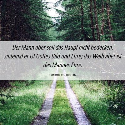 Picture 06 - 1 Korinther 11:7 LUTH1912 - Der Mann aber soll das Haupt nicht bedecken, - Bible Verse Picture