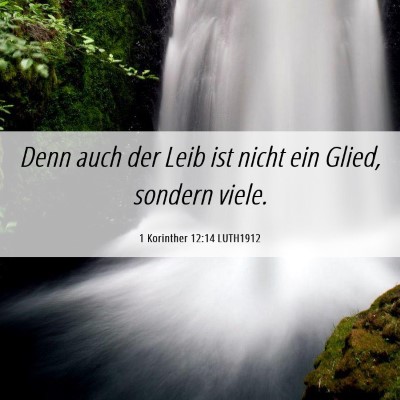 Picture 06 - 1 Korinther 12:14 LUTH1912 - Denn auch der Leib ist nicht ein Glied, sondern - Bible Verse Picture