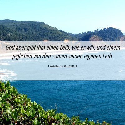 Picture 06 - 1 Korinther 15:38 LUTH1912 - Gott aber gibt ihm einen Leib, wie er will, und - Bible Verse Picture