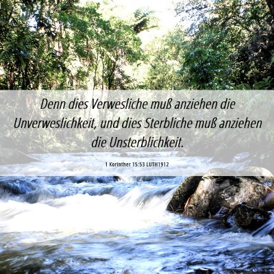 Picture 06 - 1 Korinther 15:53 LUTH1912 - Denn dies Verwesliche muß anziehen die - Bible Verse Picture