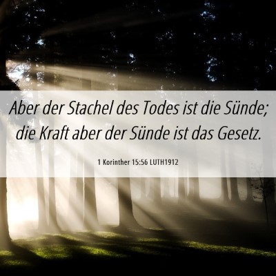 Picture 06 - 1 Korinther 15:56 LUTH1912 - Aber der Stachel des Todes ist die Sünde; die - Bible Verse Picture